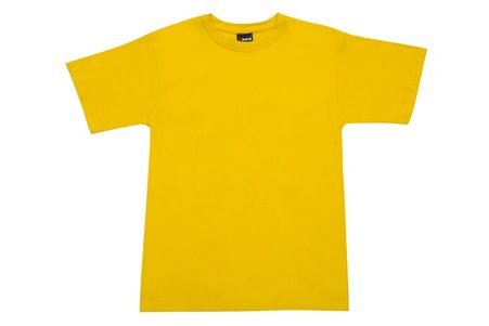 Mens Regular Tee T202HT (11 Colours)