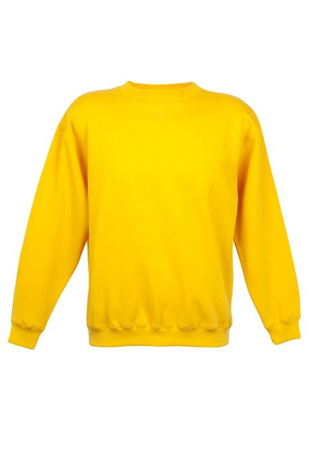 Mens Crew Neck Sloppy Joe TP212S